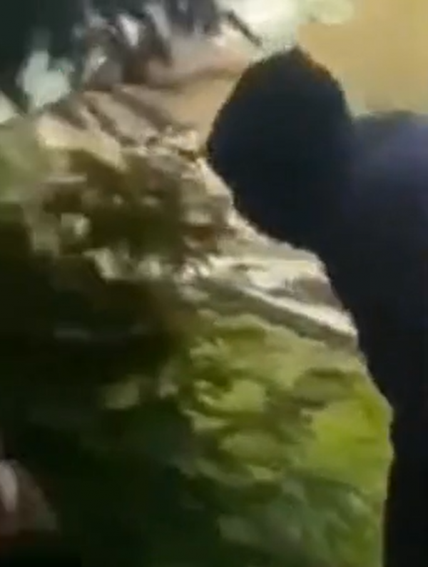 Skandaliczna napaść na ulicach Białogardu.